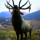 Wapiti2